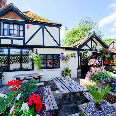 Ye Olde Red Lion Bed & Breakfast Newbury  Ngoại thất bức ảnh