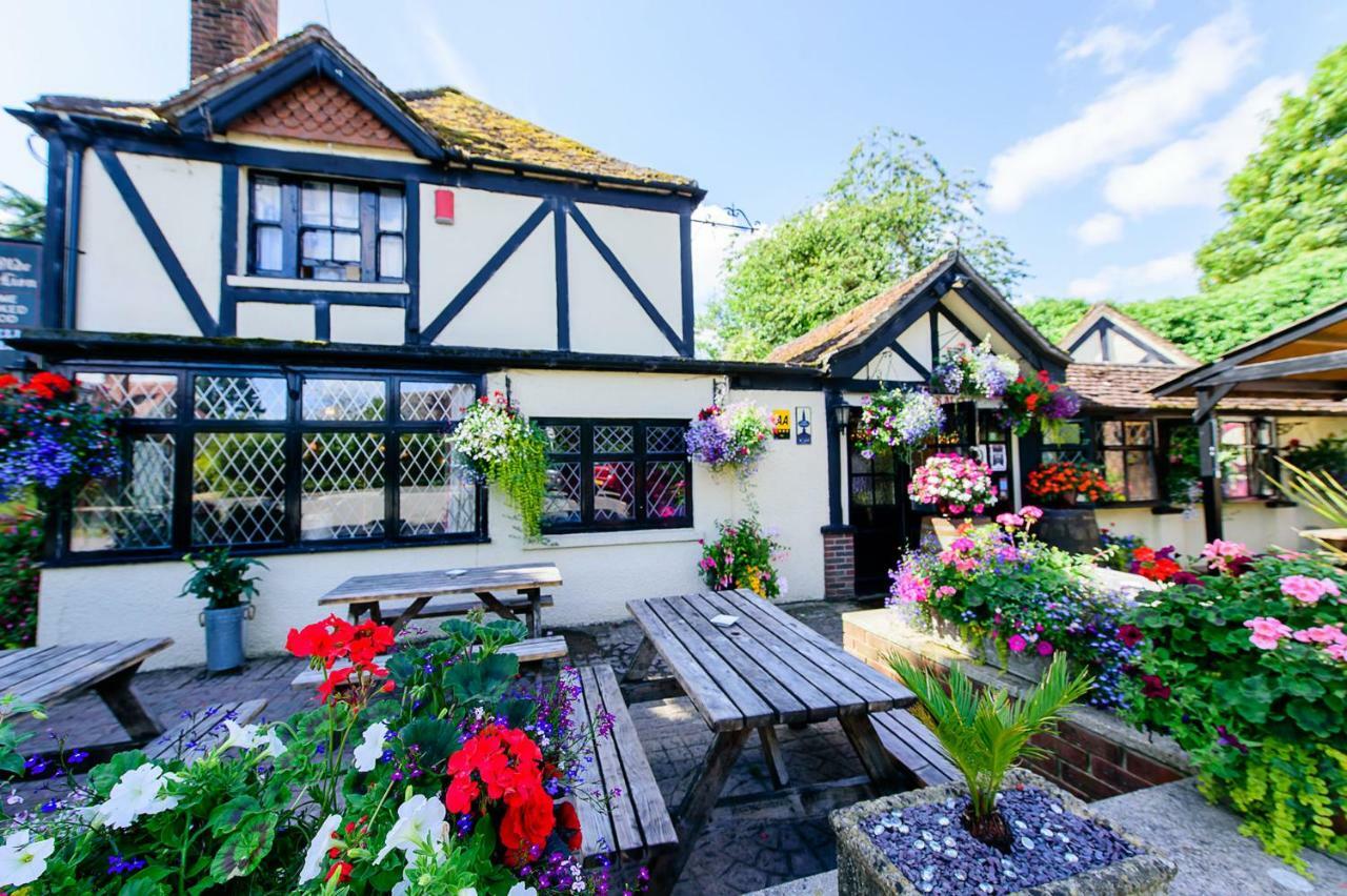 Ye Olde Red Lion Bed & Breakfast Newbury  Ngoại thất bức ảnh